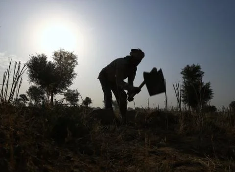 Indian farmer doing work in the field Stock Photos