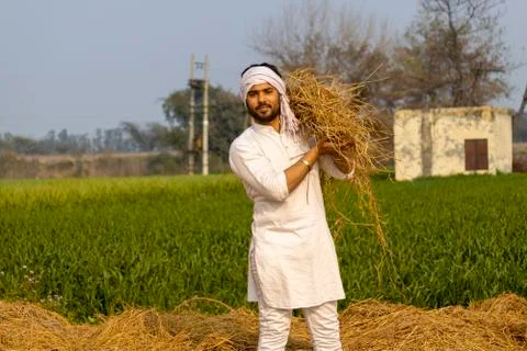Indian farmer with fodder on his shoulder Stock Photos