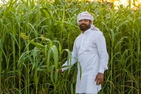 Indian farmer in front of fodder field Stock Photos
