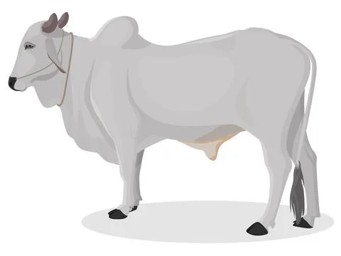 Indian farmer Ox Stock Illustration