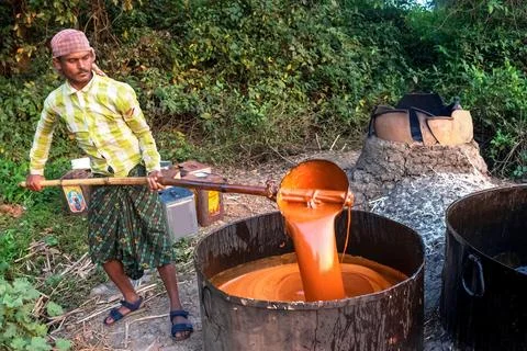 An Indian farmer is producing jaggery using traditional methods. Stock Photos