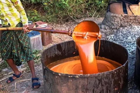 An Indian farmer is producing jaggery using traditional methods. Stock Photos