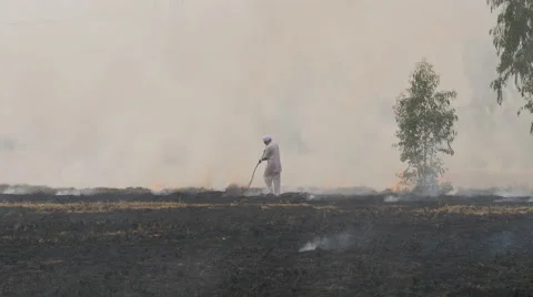 An Indian farmer walks through burning fields Stock Footage