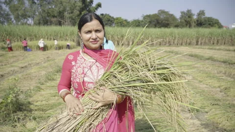 Agriculture India Stock Video Footage | Royalty Free Agriculture India ...