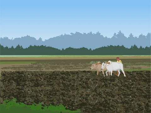 Indian Farmer working in land Stock Illustration