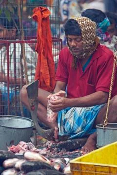 Indian Fishmonger at Work Stock Photos