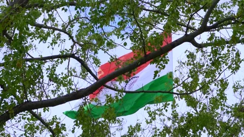 A indian flag is flying in blue sky Stock Footage 247373926