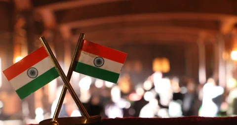 Indian Flag Stock Footage 169581631