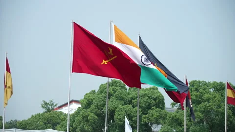 Indian flag 스톡 동영상 202469092