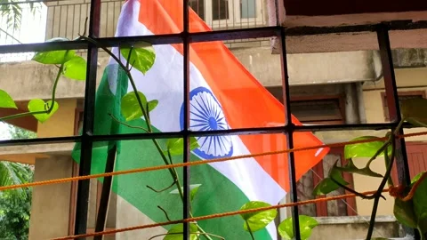 Indian Flag. Video stock 204067610