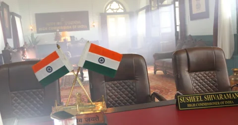 Indian Flag Stock Footage 288636505