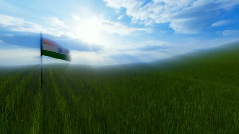 Indian flag on green meadow Stock Footage 147125059