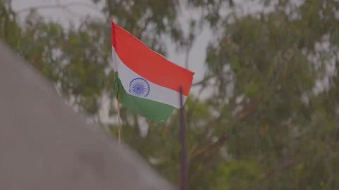 Indian flage Stock Footage 218281968