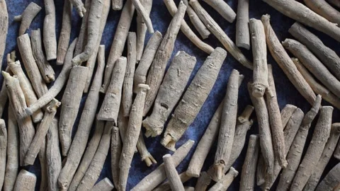 Indian ginseng root Stock Footage 152162914