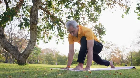 Indian Grey haired old aged male doing Surya namaskar Yoga in morning daylight Stock Footage 249843492