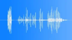 Indian Grey Partridge Calls Sound Effect