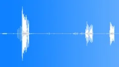 Indian Grey Partridge Calls Sound Effect
