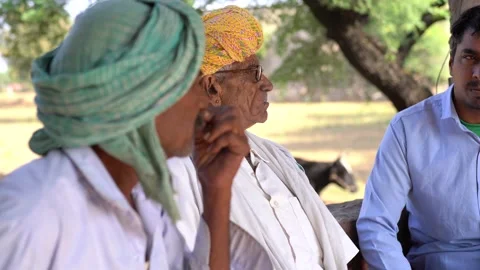 Indian Group of multi generation People gossiping relaxing Stock Footage 255346793