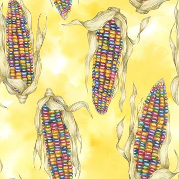 Indian heirloom corn seamless pattern, rainbow cobs on abstract splash Stock Illustration