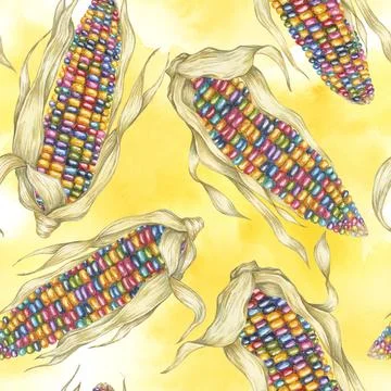 Indian heirloom corn seamless pattern, rainbow cobs on abstract splash Stock Illustration