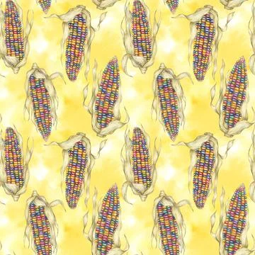 Indian heirloom corn seamless pattern, rainbow cobs on abstract splash Stock Illustration