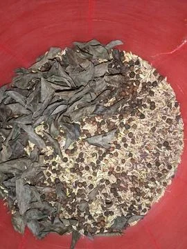 Indian herbs Stock Photos