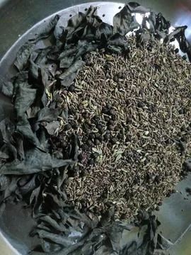 Indian herbs Stock Photos