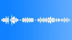 Indian house crows callingSound Effect