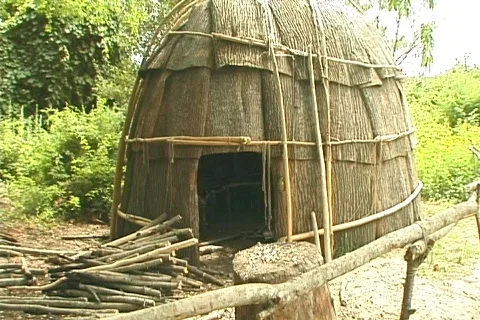 Indian Hut 스톡 동영상 362180