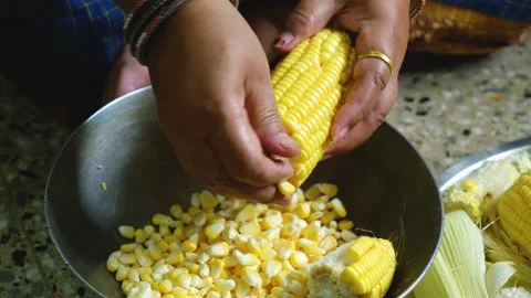 An Indian lady is separating the corn from the corn cob. Stock Footage 161949421