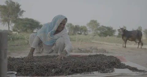 Indian Lady Sorting Daal Video stock 112406424