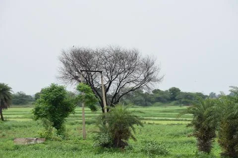 Indian landscape Stock Photos