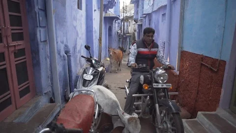 Indian Life Stock Footage 111448880