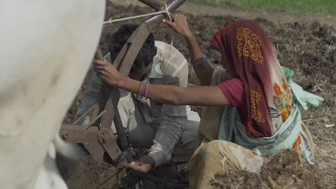 Indian Life Stock Footage 111477949