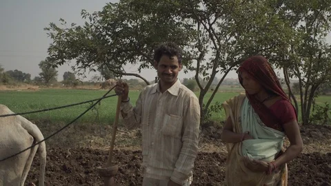 Indian Life Stock Footage 111478243