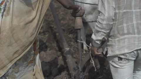 Indian Life Stock Footage 111478527