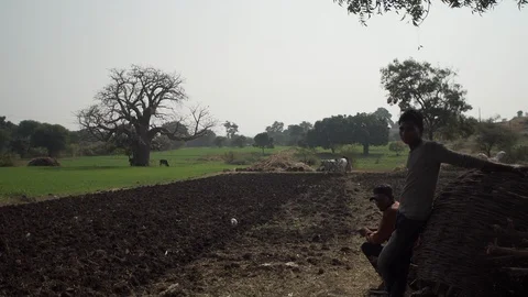 Indian Life Stock Footage 111479948