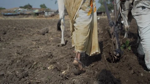 Indian Life Stock Footage 111480654