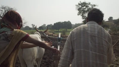 Indian Life Stock Footage 111481001