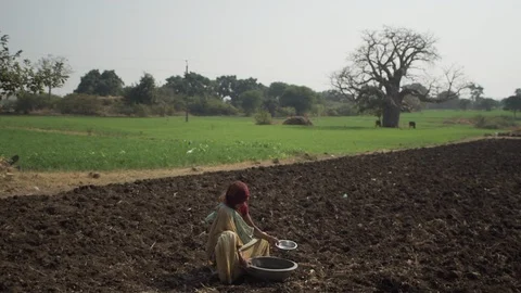 Indian Life Stock Footage 111481728