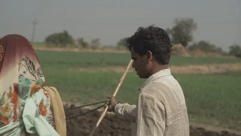 Indian Life Stock Footage 111482451