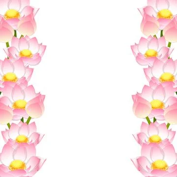 Indian Lotus Border Stock Illustration