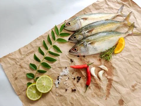 Indian Mackerel fish Stock Photos