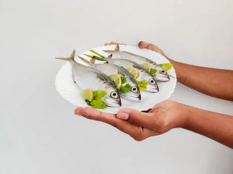 Indian Mackerel fish Stock Photos