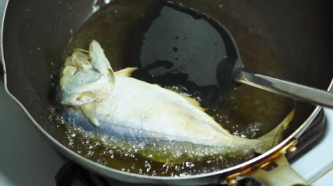 Indian Mackerel flip Stock Footage 38797743