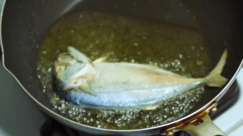 Indian Mackerel fried Stock Footage 38797880