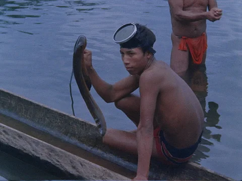 Indian man displays electric eel, which has just been caught. Stock Footage 147285373