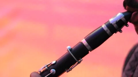 Indian Man playing clarinet Stock Footage 49526232