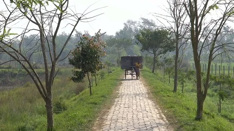 Indian man pulls a heavy cart along on the path Stock Footage 70265936