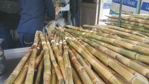 Indian man working with Sugar cane grinder Stock Footage 199186504
